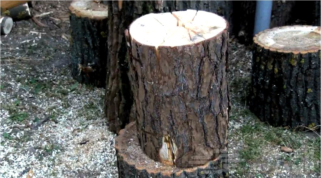 Egyszerű és megbízható módszer fa aprítására