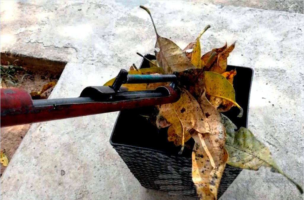 Az eszköz a lehullott levelek tisztításához a helyszínen