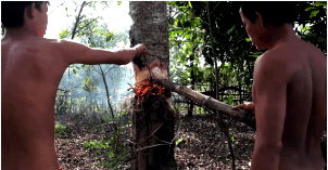 A fák kivágása Kambodzsában elképesztő módszer