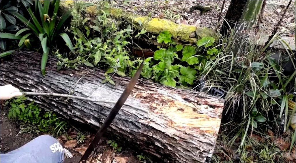 Hogyan készítsünk machetet fa kézifűrészből?