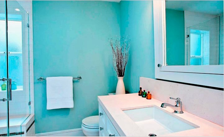 Hogyan válasszunk akrilfestéket a fürdőszoba falainak festésére?  A kiválasztás és a falra történő alkalmazás jellemzői 