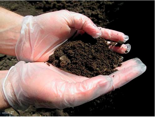 Hogyan hozzunk létre alapot tőzeges talajon saját kezűleg: egy magánház magas talajvízszinttel a tőzegre saját kezűleg: típusok, lehetőségek