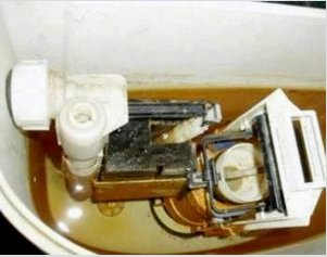 Hogyan tisztítsuk meg a WC-csészét a vízkő és a rozsda - A módszer áttekintése