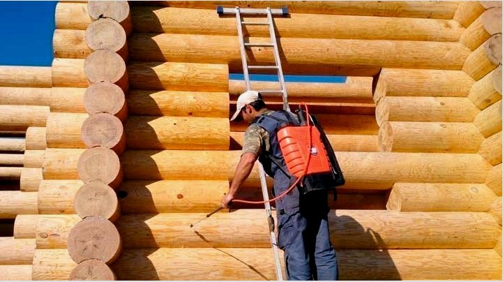 Mi határozza meg a házak élettartamát faanyagból?  Tippek a megújításához + Fotók