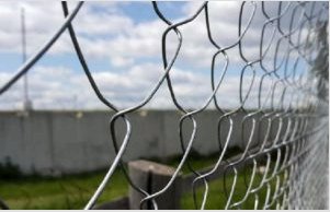 A saját hálóval kerítést készítünk hálóhálóból: utasítások és telepítési tippek