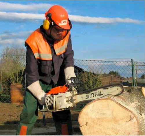 Láncfűrész fák megfelelő és egyenletes fűrészelése?  Tippek a fűrésztelepről való favágáshoz - áttekintés
