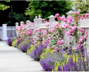 Vonzó virágkert kialakítás a ház közelében: Tippek virágágyások elhelyezéséhez