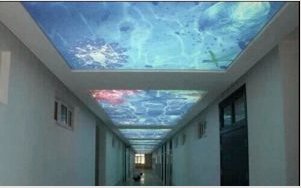 Feszítő mennyezetek a folyosón: szövet, PVC fólia - görbe vonalú szerkezetek + fénykép és videó