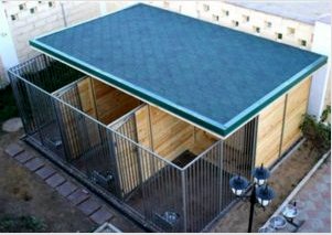 Aviary építése egy kutyának: Tudnivalók a kezdés előtt