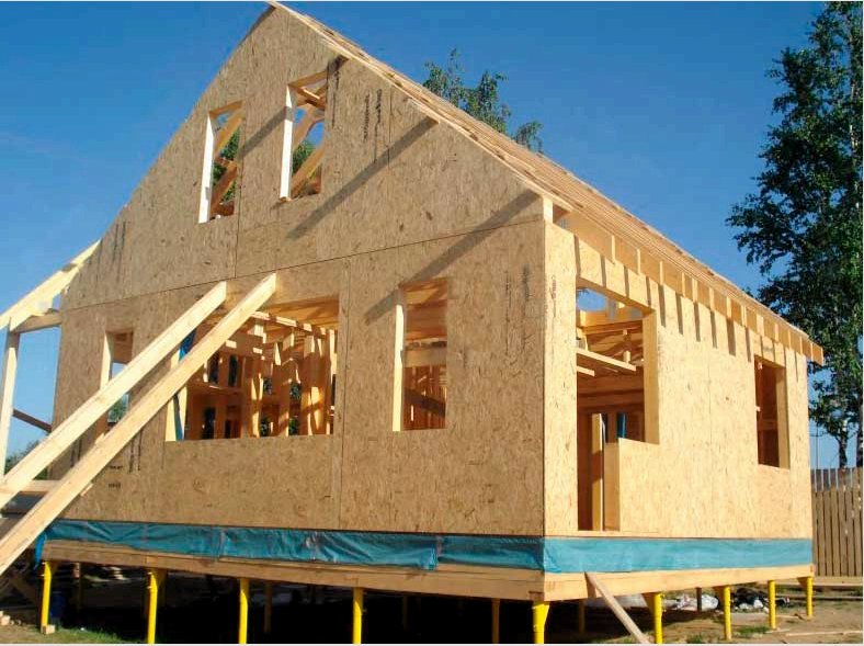 Hogyan kell kezelni a rágcsálókkal egy házban: Hogyan védjük meg a házak és az építkezés során: Tippek
