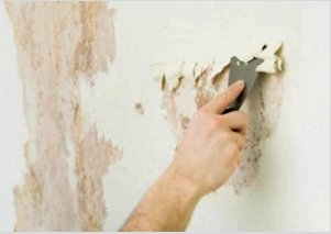 Hogyan kell feldolgozni a falakat folyékony tapéta felhordása előtt?  Utasítás és fénykép