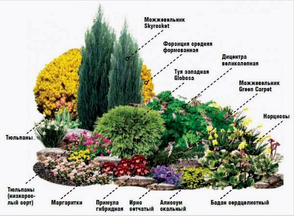 Csináld magad virágoskert az országban: A virágágyások létrehozásának és a növények kiválasztásának jellemzői