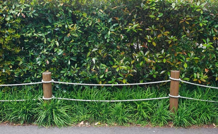 Kerítés rögtönzött anyagokból: 4 lehetőség a kerti kerítésekhez