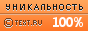 Text.ru - 100,00%