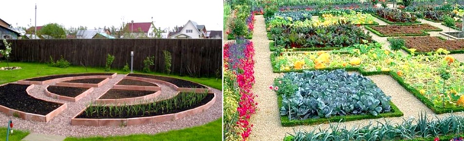 Csináld magad kerti ágyak az országban: példák egyszerű és szép ágyásokra, a kerti növények kompatibilitása