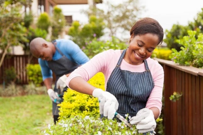 8 Módszer a kerti szerszámok tisztítására a tavaszi vegetációs szezonban