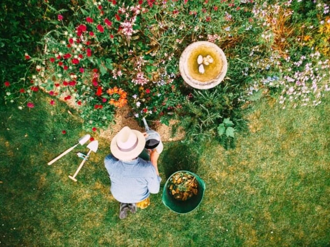 10 Ok, amiért a tudomány szerint a kertészkedés jót tesz neked