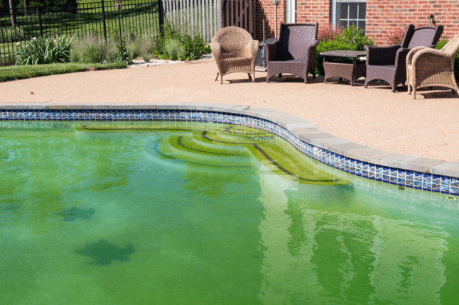 Megoldva! Miért zöld a medencém?