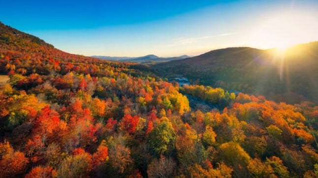 2022 Őszi lombkorona-térkép: Mikor éri el Önt az őszi színek csúcspontja