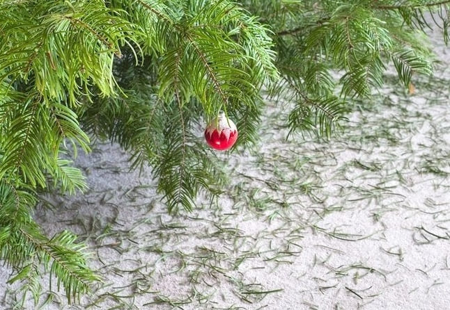 A karácsonyfa leszedésének legjobb tippjei