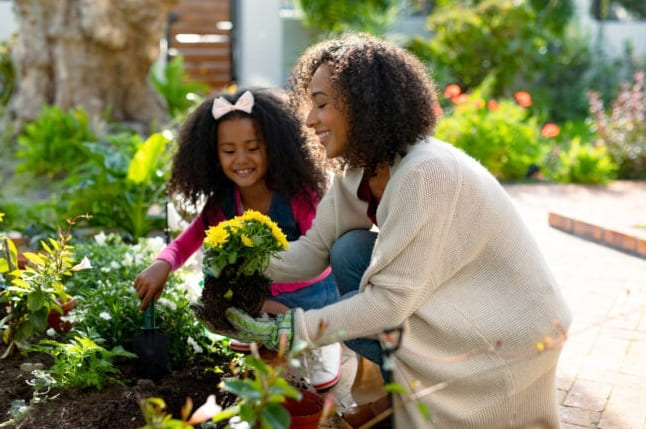 11 Meglepő hely, ahol ingyen kertészeti kellékeket szerezhetsz és pénzt takaríthatsz meg
