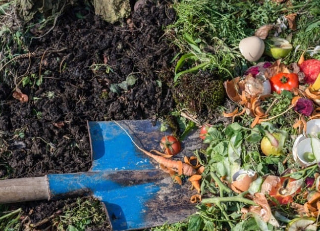 Komposztálás 101: Hogyan használjuk a konyhai és udvari hulladékot a kertben