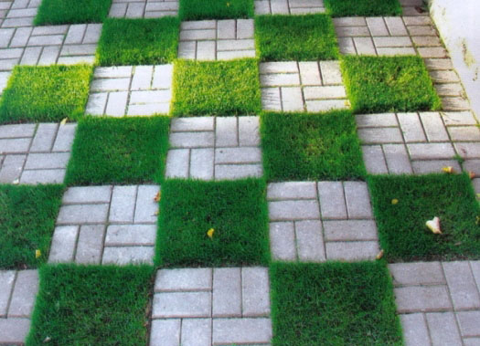 Kőtéglából készült kerti utak: tervezési ötletek és barkácsolás