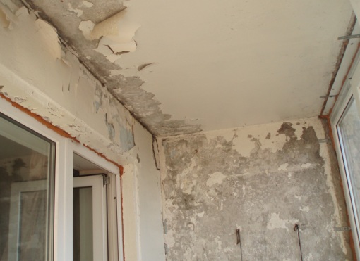 Hogyan kezelhető a penész és a penész a falakon egy házban vagy lakásban?