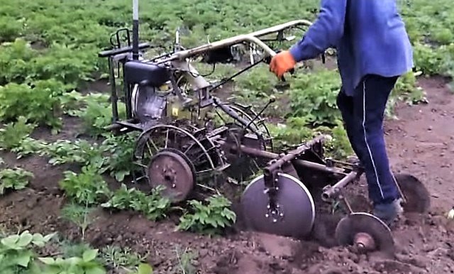 Burgonya gyalogolása hátsó traktorral: agrotechnikai indoklás és árnyalatok a folyamatról