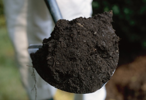 Mi a fekete talaj? A talajhasználat jellemzői és jellemzői