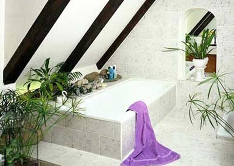 Fürdőszoba a tetőtérben: előnyök és hátrányok, a fürdőszoba elrendezésének változatai a tetőtérben
