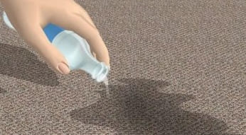 Hogyan lehet megszabadulni a kutyavizelet szagától a szőnyegen, a tisztítás módszerei és eszközei