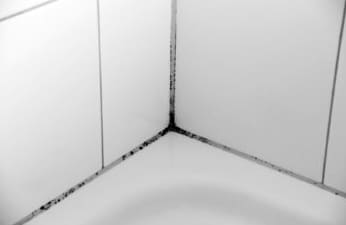 Hogyan kezeljük a penészt a fürdőszobában a kerámia csempe varratain