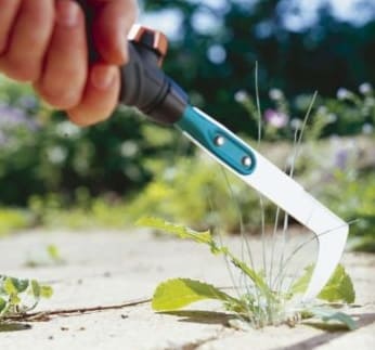Hogyan lehet megszabadulni a fűtől a járólapok között, hatékony módszerek és eszközök