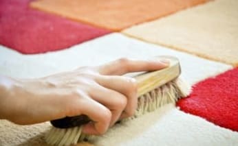 Hogyan lehet hatékonyan tisztítani a szőnyegeket a gyapjúból otthon, módszerek és módszerek