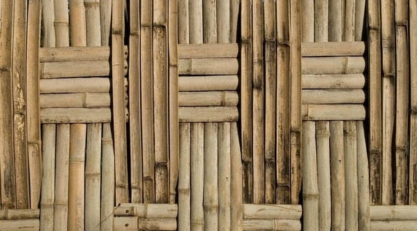 Bambusz tapéta fajták a falakra fotó
