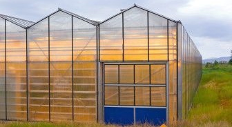 Hogyan készítsünk egy polikarbonát üvegházat saját kezűleg