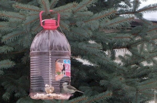 műanyag palackos madáretető