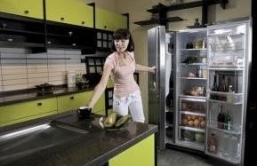 A hűtőszekrény típusai és működési elve