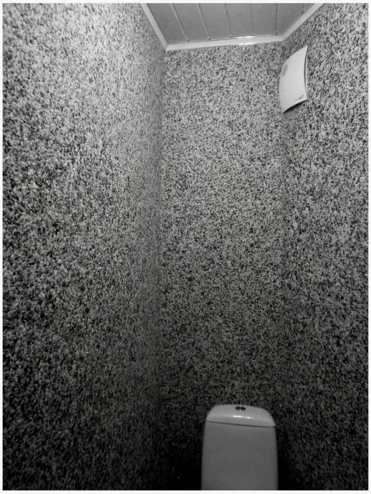 A tapéta kiválasztásának szabályai a WC -ben, mennyire praktikusak