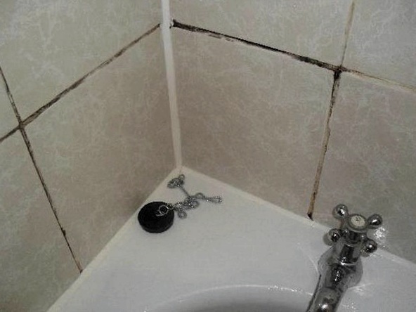 Hogyan lehet eltávolítani a penészt a fürdőszobai csempékről