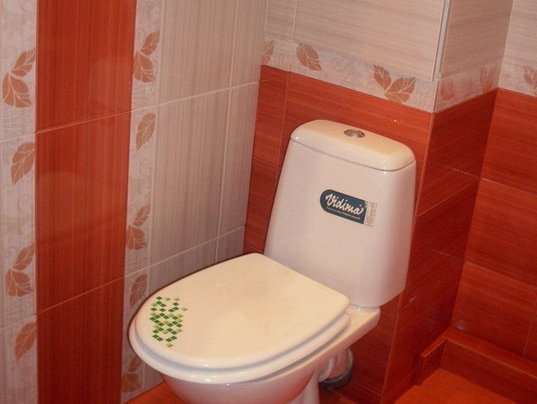 Lehetőségek csempe lerakására a WC -ben, fotó a tervezési lehetőségekről