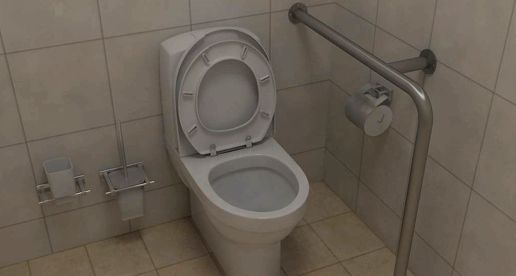 Korlátok a fürdőszobában és a WC -ben a fogyatékkal élők számára, ajánlások