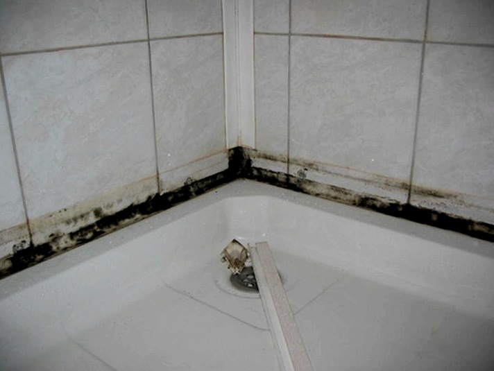 Hogyan lehet eltávolítani a penészt a fürdőszobai csempékről