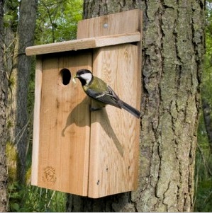 Fából készült, saját készítésű madárház seregélyek és apró hasznos madarak számára
