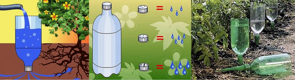 Csepegtető öntözés: a műanyag palackoktól az automatizált üvegházig - sémák, készülékek, megoldások