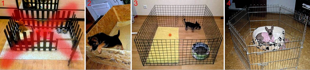 Madárház kutyának: melyik a jobb, hogyan kell felépíteni, méretek, sémák, gyártás