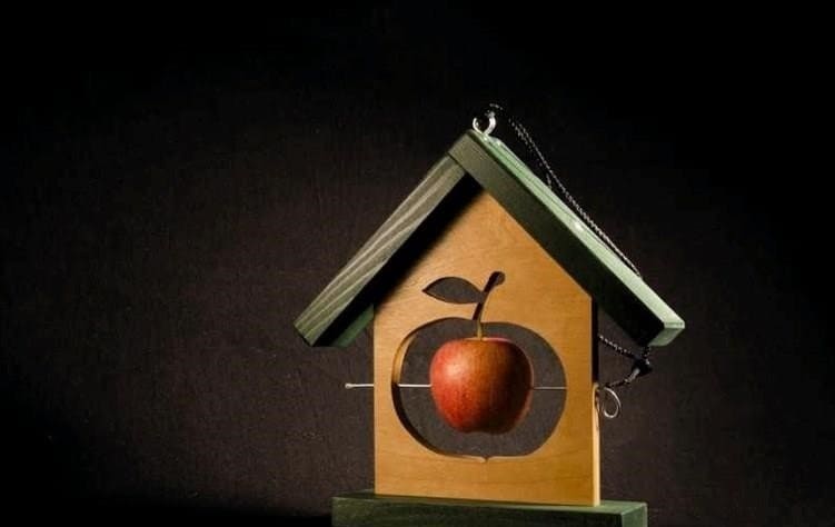 Madáretető - Tudja meg a legjobb DIY madáretető műhelyeket és oktatóanyagokat! (Fotó és videó)