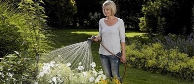 Kútszivattyú: melyiket válasszuk nyári használatra a kert öntözéséhez