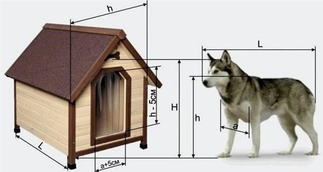 Hogyan készítsünk kutyaházat improvizált eszközökből saját kezűleg